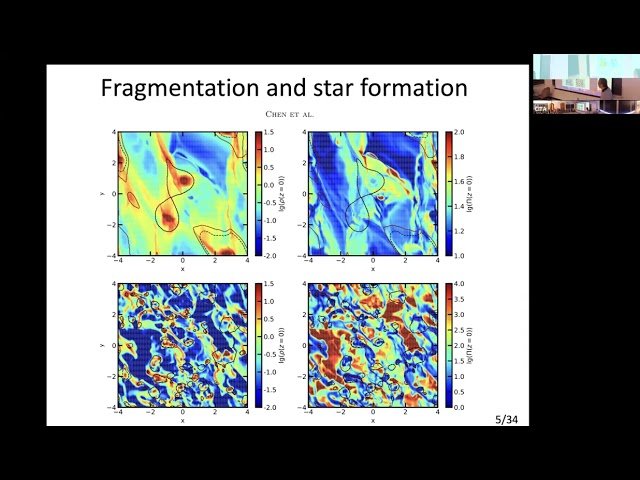 Stellar Evolution and Pollution in AGN Disks - 1114