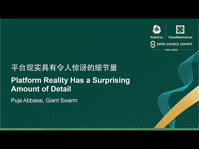 Platform Reality Has a Surprising Amount of Detail