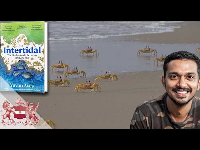 Intertidal Zones - Ecology, Threats, and Conservation of Coastal Wetlands