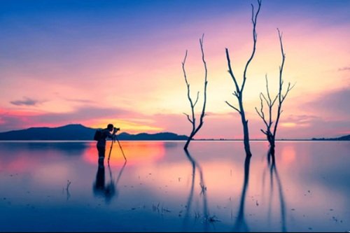 The Art of Seeing (Self-Paced)