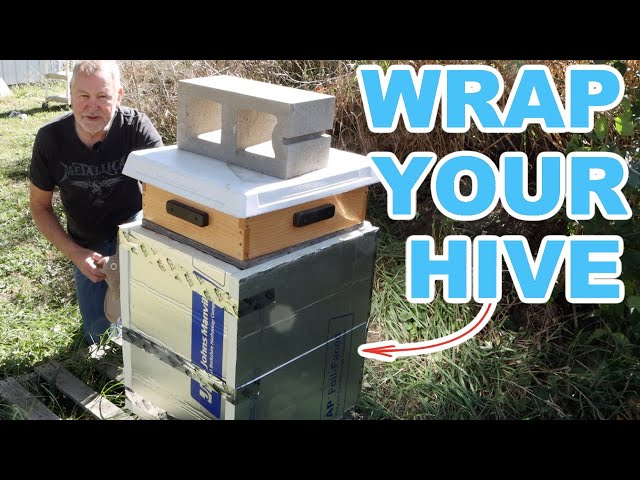 Beekeeping Alert - Why Hive Wrapping Could Save Your Bees This Winter