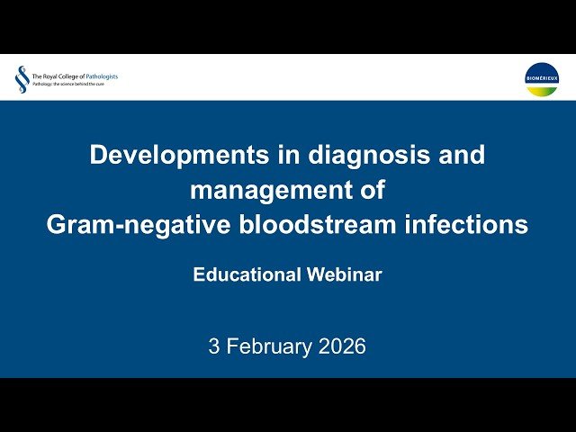Developments in Diagnosis and Management of Gram-Negative Bloodstream Infections