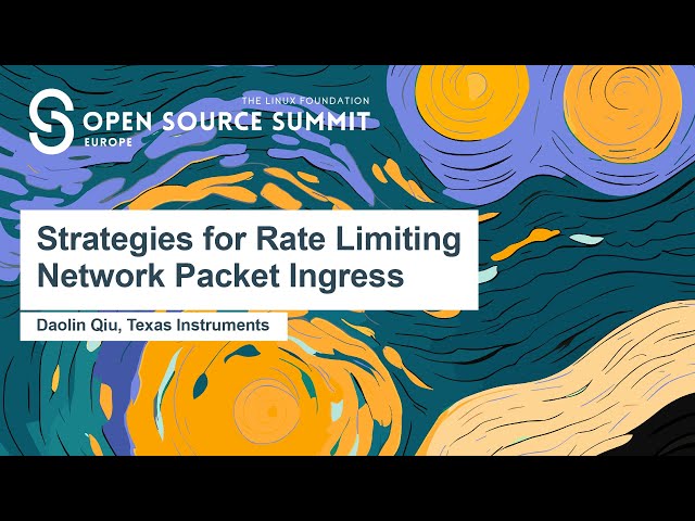 Strategies for Rate Limiting Network Packet Ingress