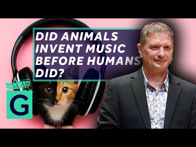 Music of Animals - Exploring Musical Communication Across Species
