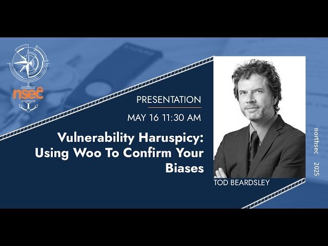 Vulnerability Haruspicy - Using Woo To Confirm Your Biases
