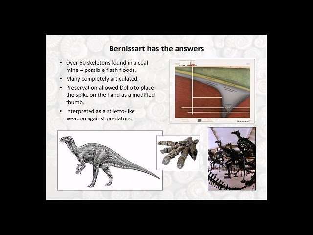 Whoops! Fossil Faux Pas