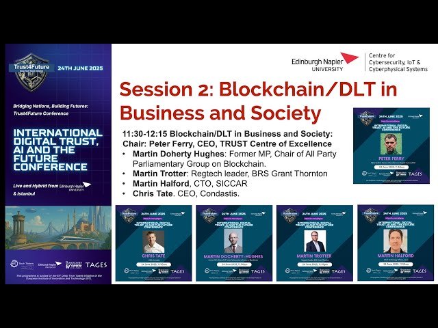 Blockchain/DLT in Business and Society