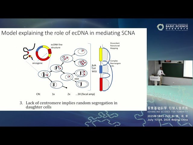 Detecting Extrachromosomal DNA in Cancer Genomes