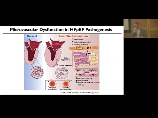 Extracellular Vesicles as Mediators of Cellular Communication in the Heart and Brain