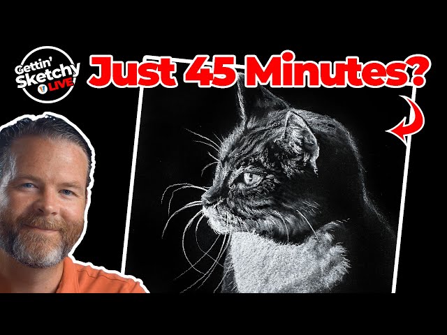 Can I Draw a Cat with White Charcoal LIVE in 45 Minutes - Gettin' Sketchy