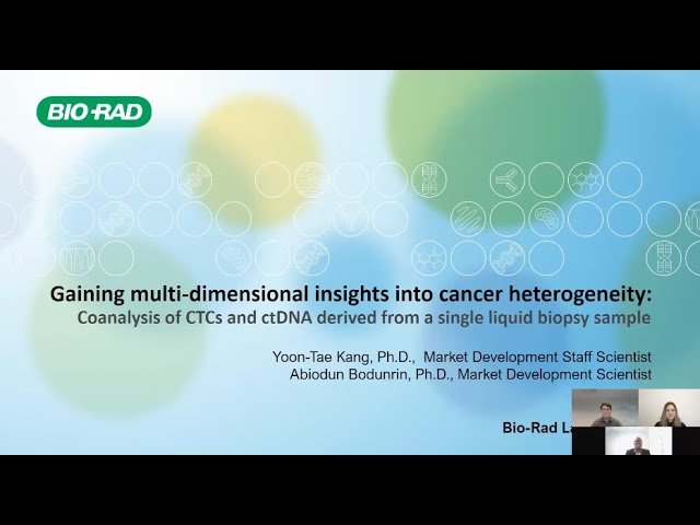 Gaining Multi-Dimensional Insights into Cancer Heterogeneity - Co-Analysis of CTCs and ctDNA Derived from a Single Liquid Biopsy Sample