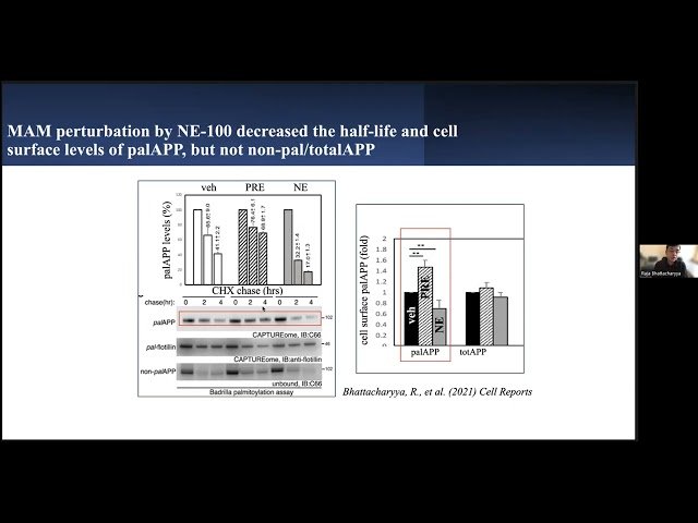 Targeting MAM Stability and Endosomal Abnormalities in Neurons to Prevent Early-Stage AD Pathogenesis