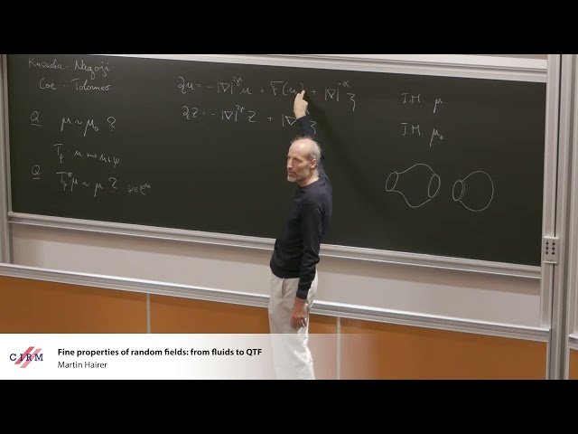 Fine Properties of Random Fields - From Fluids to Quantum Field Theory