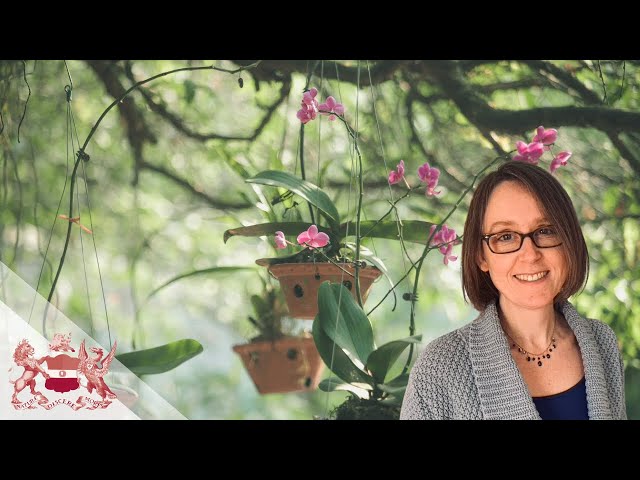 The Lost Orchid - Hunting An Icon in the Linnean Society Archives