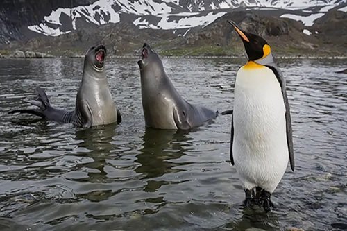 7 Steps to Great Photos (Self-Paced)