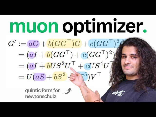 Muon Optimizer for Dense Linear Layer Explained - Newton-Schulz + Momentum