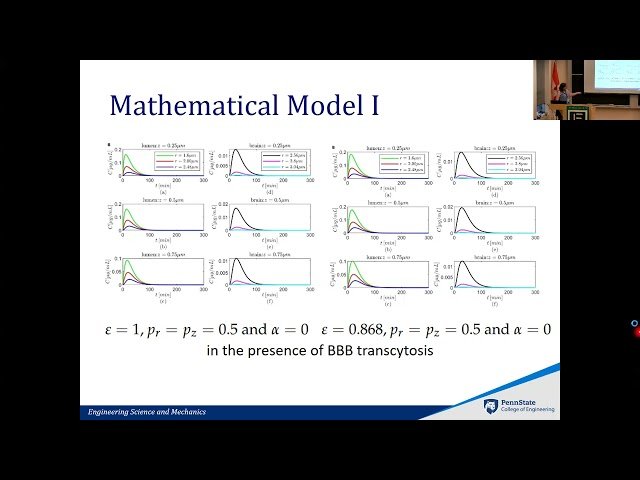 Modeling Transport and Neuronal Effects of Alzheimer's Drug Donepezil Hydrochloride