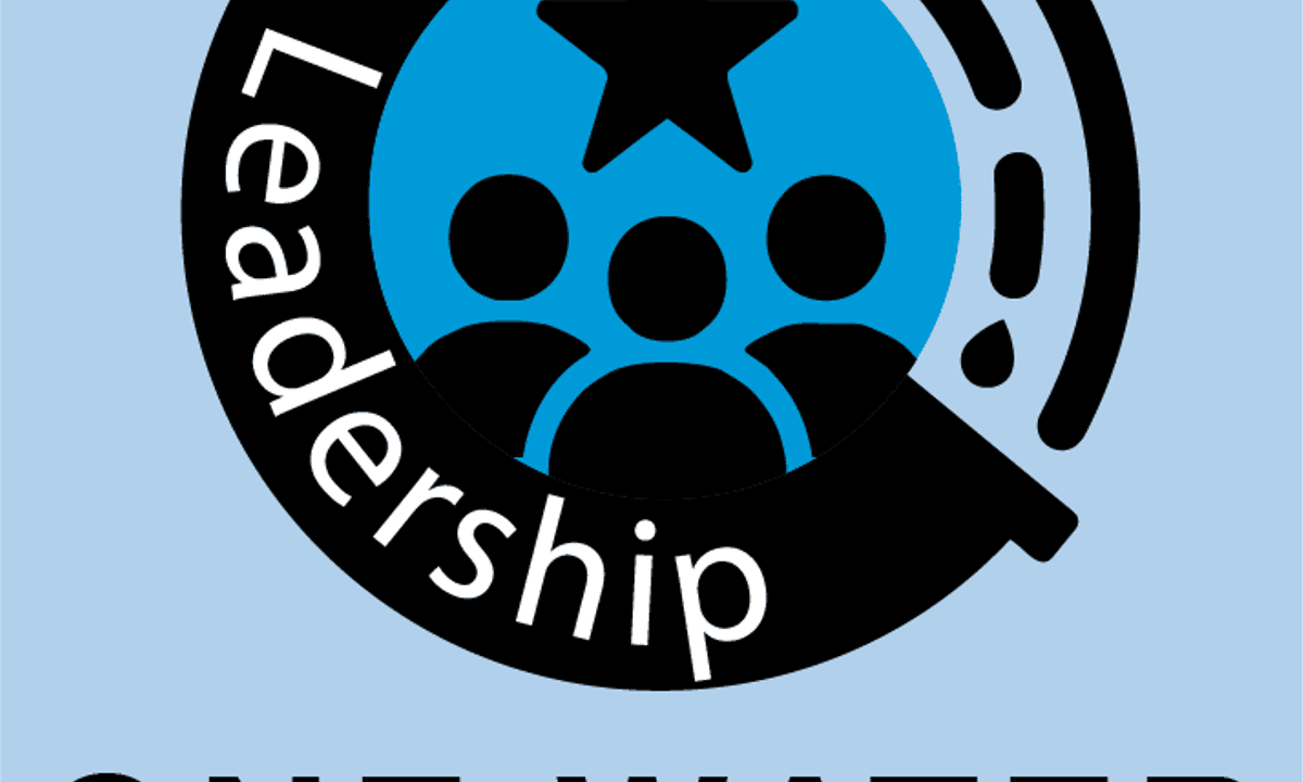 Leadership in the Water Sector