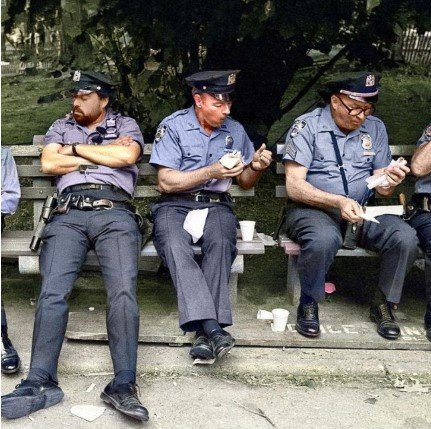 American Policing: History, Politics, and Society (Live Online)
