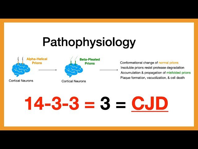 Creutzfeldt-Jakob Disease - CJD