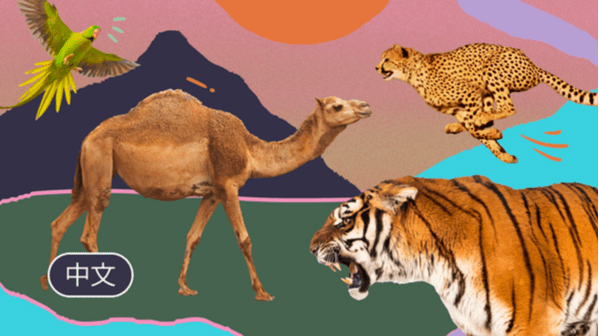 压力、危机、极端情况