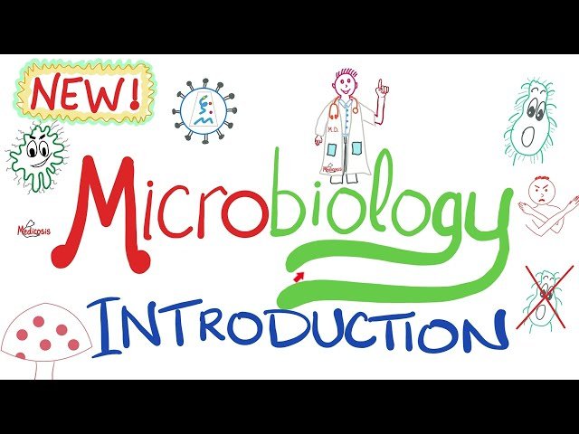 Microbiology and Infectious Diseases - Comprehensive Course in Bacteriology, Virology, Mycology, and Parasitology