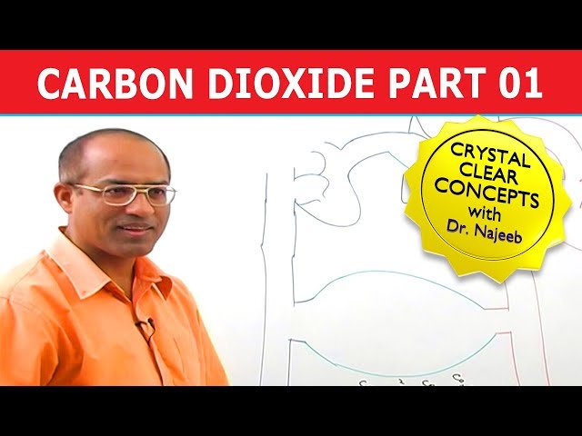 Respiration and Gas Exchange