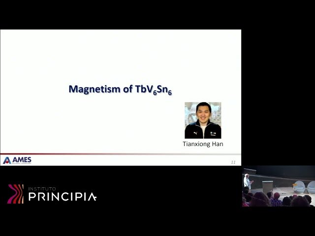 Magnetism of the RT6Sn6 Kagome Metals