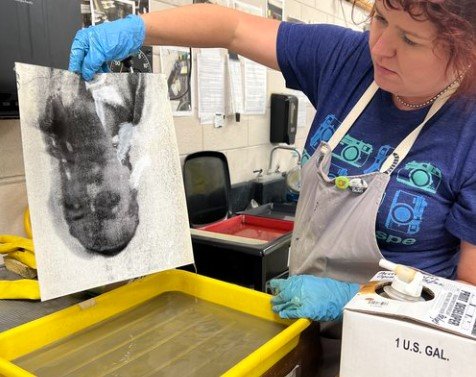 Chemigrams: Composition and Concept (Live Online)