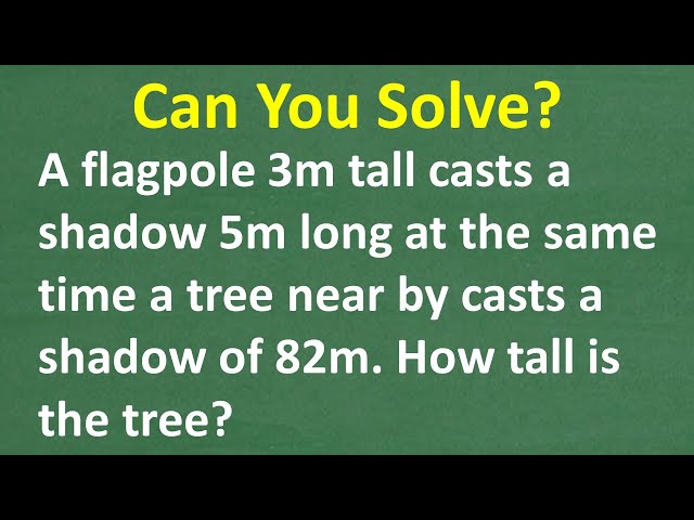 Finding Tree Height Using Shadow Proportions and Similar Triangles