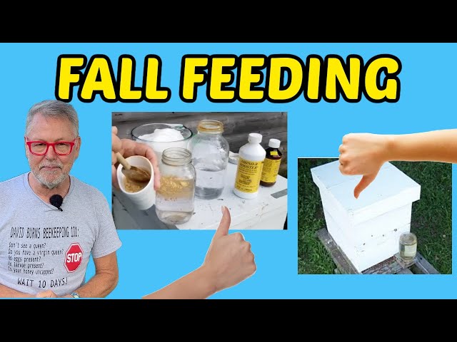 Beekeeping - Advanced Fall Feeding Techniques for Strong Winter Colonies
