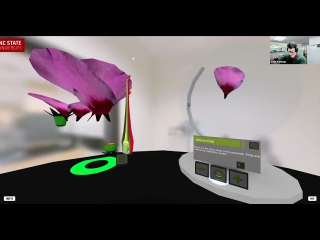 Inclusive Learning in Classrooms of the Future