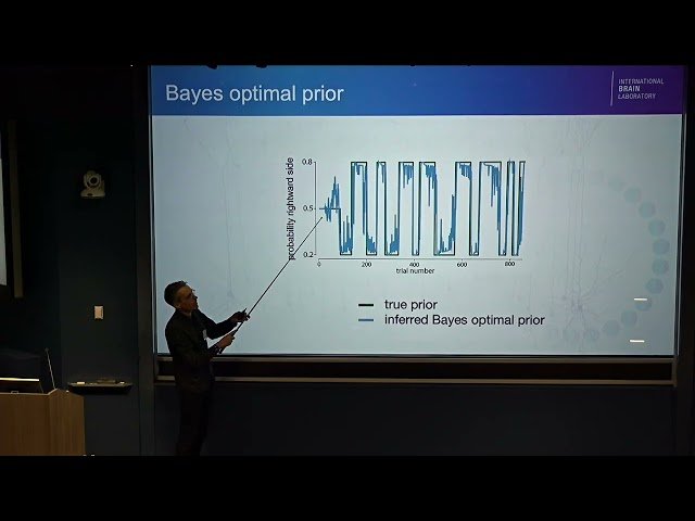 Brain-Wide Representation of Prior Information