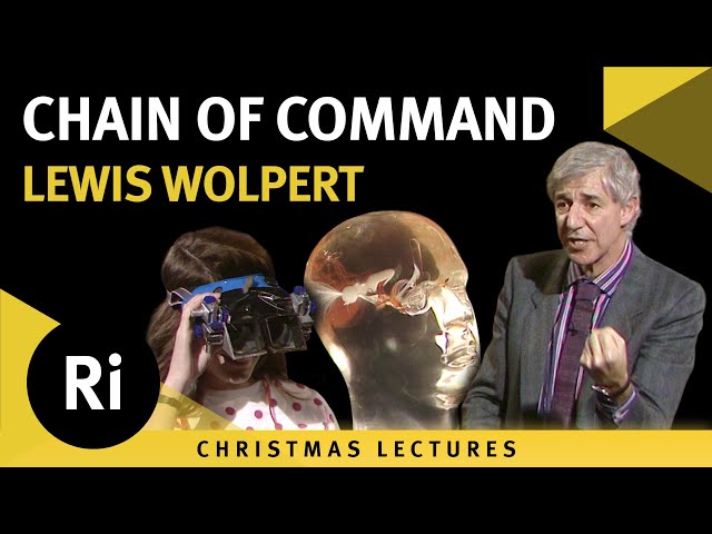 Chain of Command - Nervous System Development and Brain Control - Lecture 5