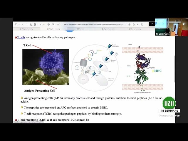 Intersections of the Adaptive Immune Response and Statistical Physics