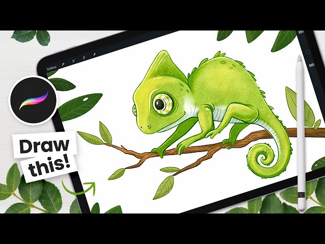 How to Draw a Color-Changing Chameleon - Procreate Animation Tutorial