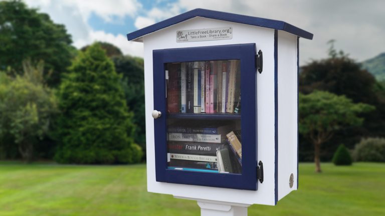 Build a Little Library
