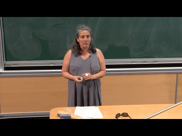 Thermodynamical Formalism and Geometric Applications - 3/3