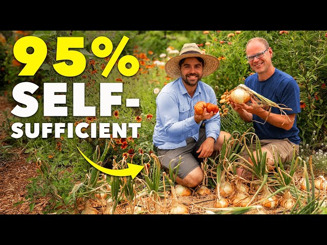 How He Feeds His Family From a Small Backyard Garden