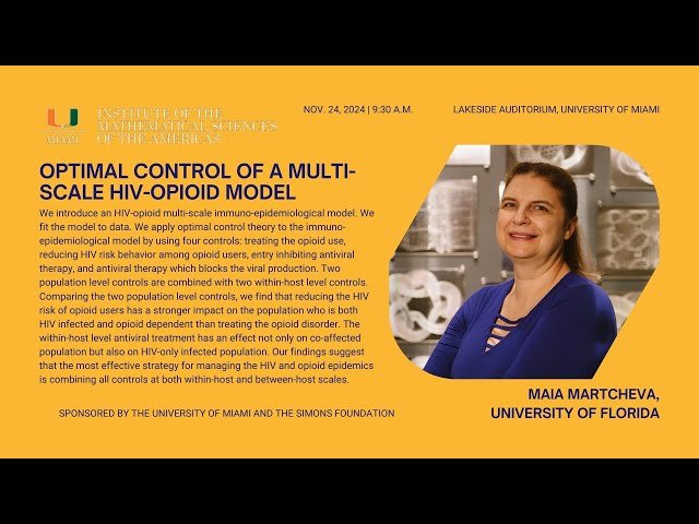 Optimal Control of a Multi-scale HIV-Opioid Model