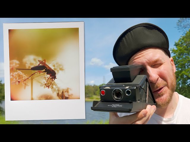 Macro Photography with a Polaroid Camera from 1979