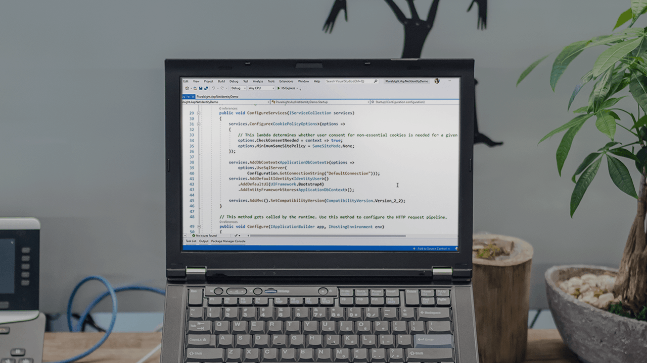 ASP.NET Authentication: The Big Picture