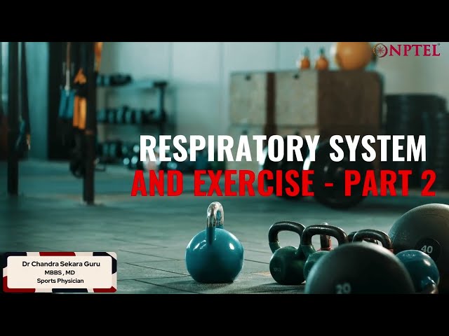 Respiratory System and Exercise - Part 2