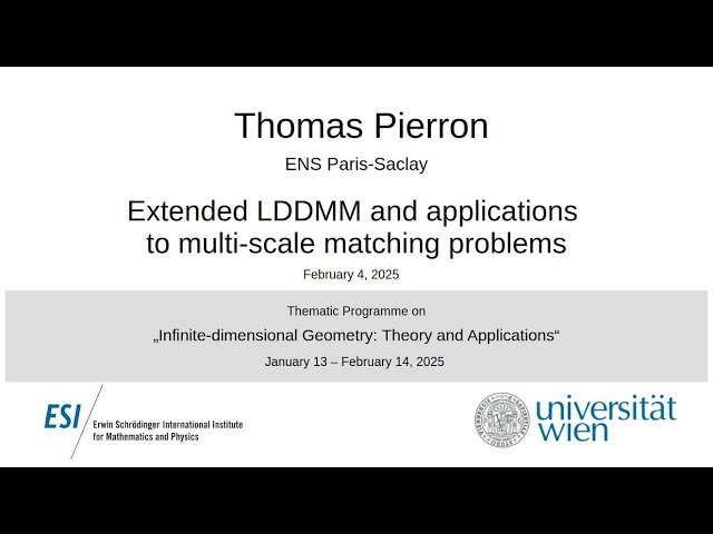 Extended LDDMM and Applications to Multi-scale Matching Problems
