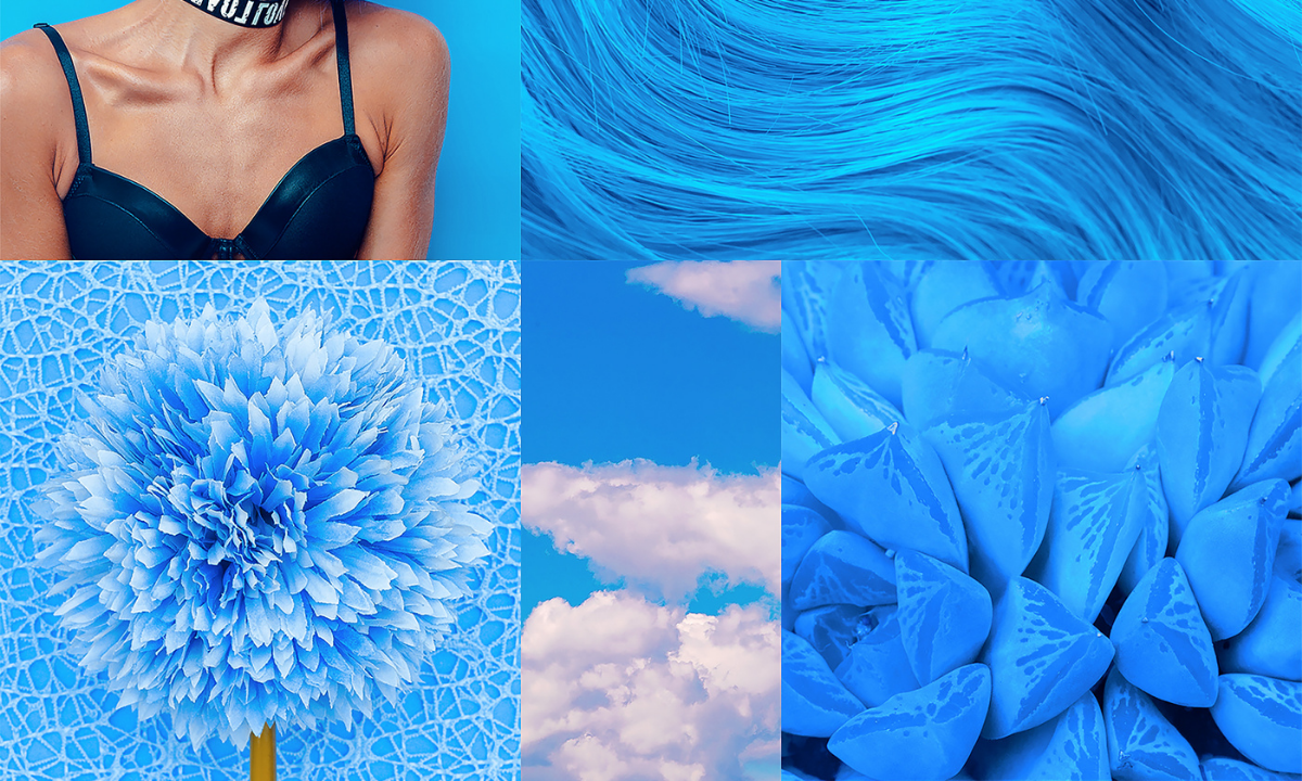 Create a Marketing Moodboard for your brand on Canva