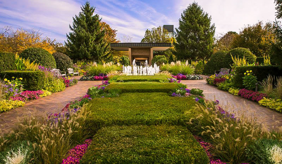 Fine Art Photography Portfolio B (Live Online)