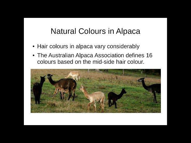 Revisiting Cross-Stitch Generation with a Restricted Palette