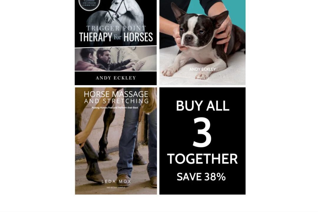 Animal Healthcare Bundle | Horses and Dogs