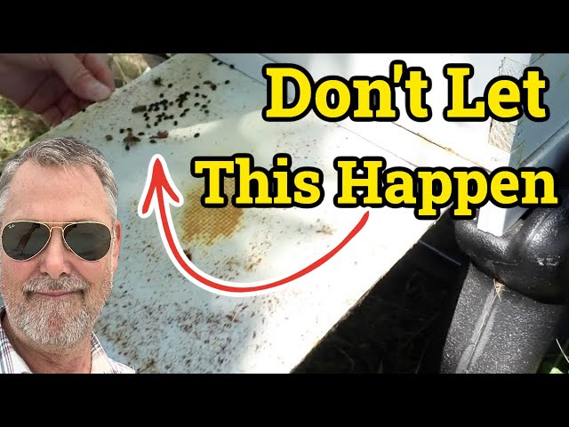 Beekeeping - How to Keep This in Check Before It's Too Late