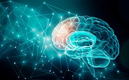 Basics of Experimental Design for Cognitive Psychology